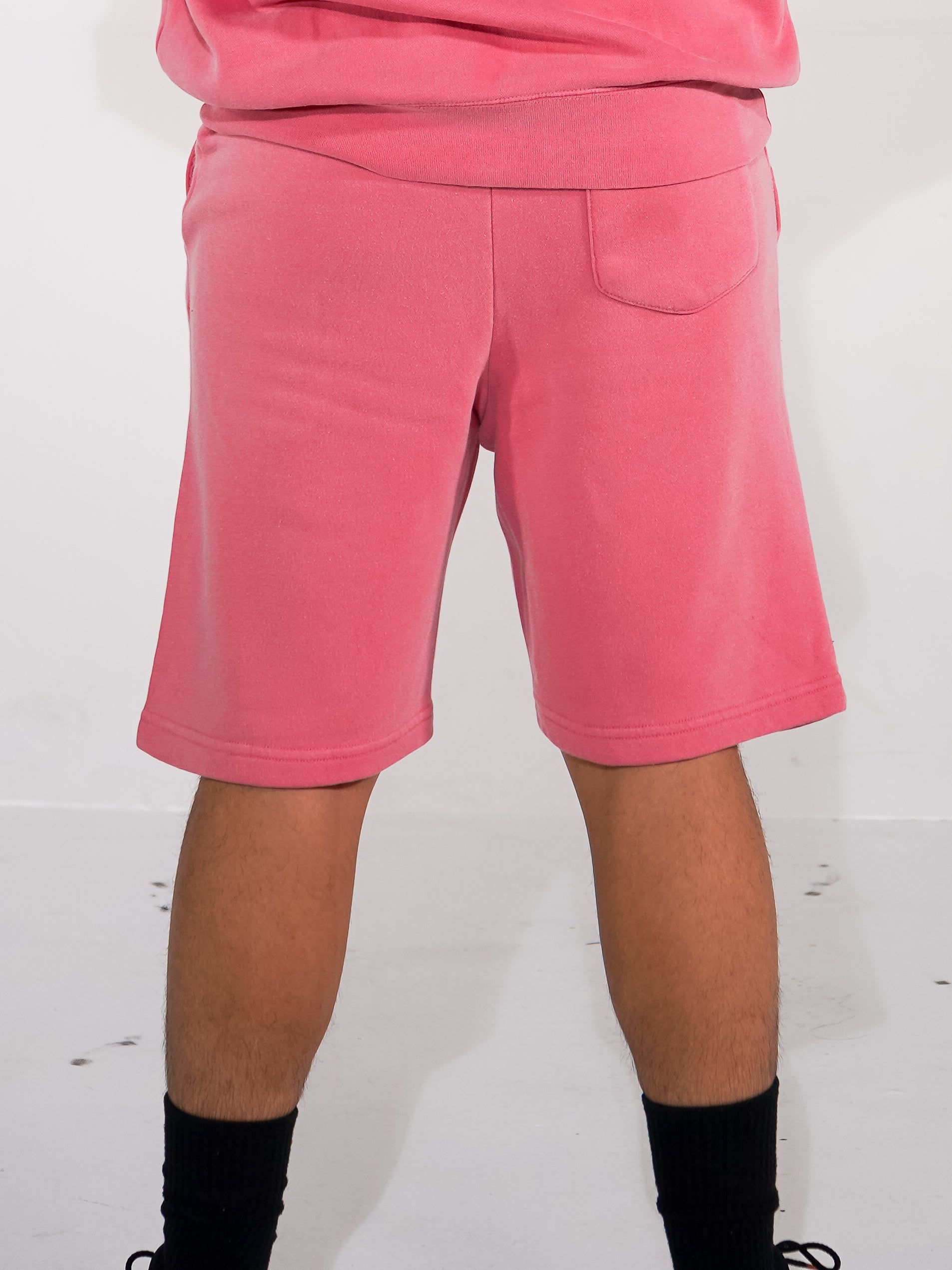 Insignia Shorts