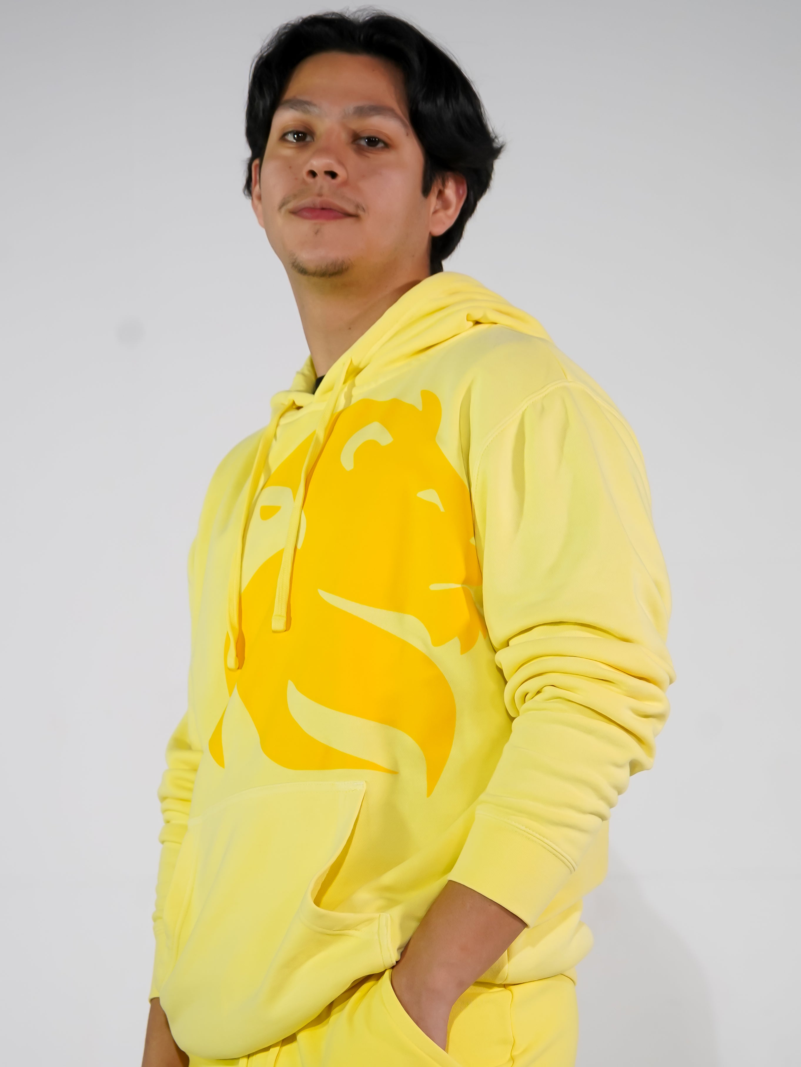Insignia Hoodie