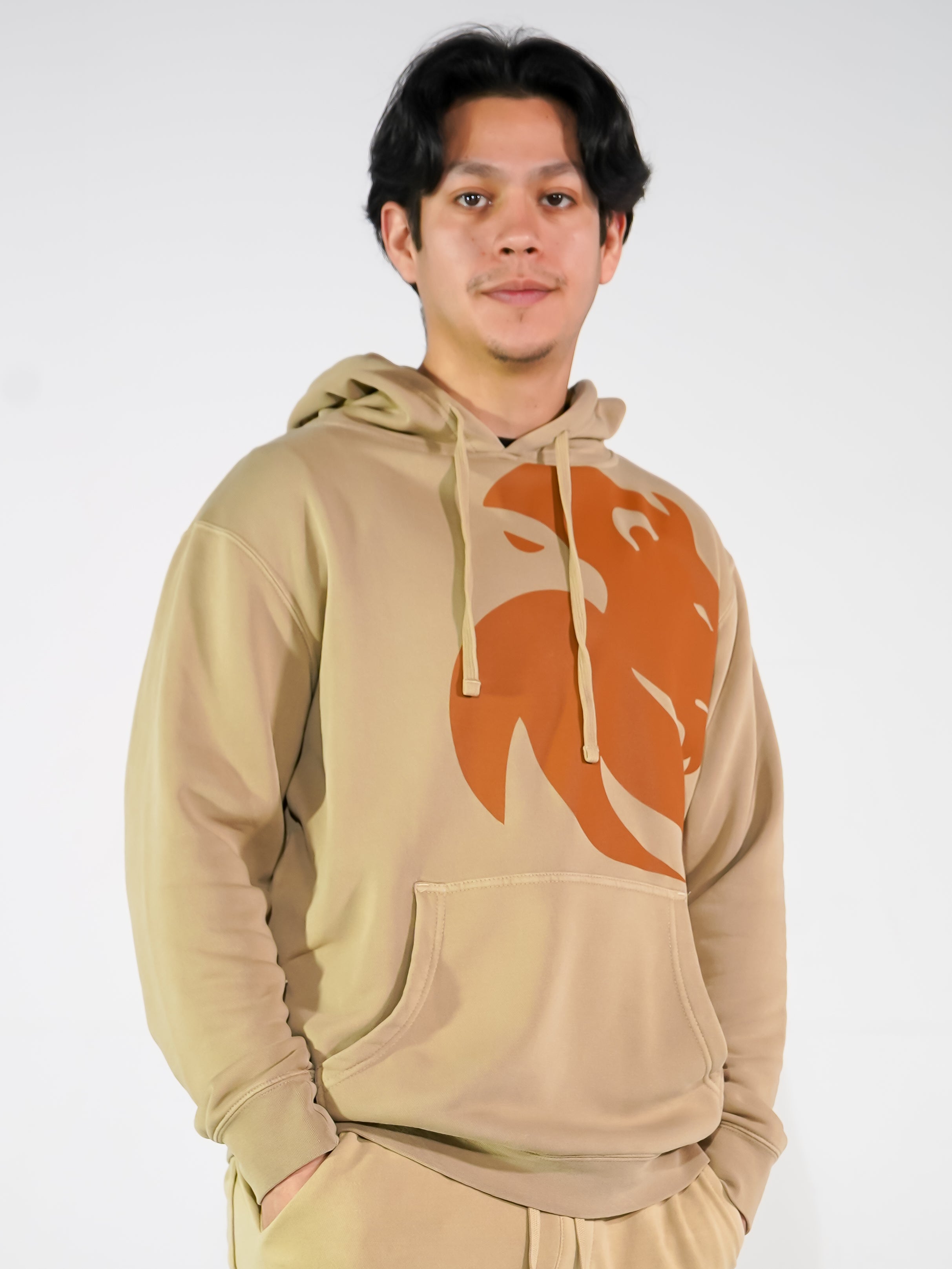 Insignia Hoodie